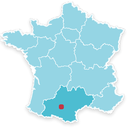31870 LAGARDELLE SUR LEZE